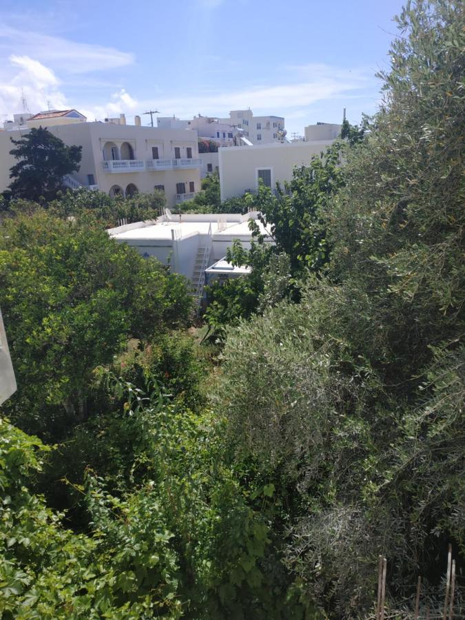 Enalion-Tinos Bed and Breakfast Eksteriør billede