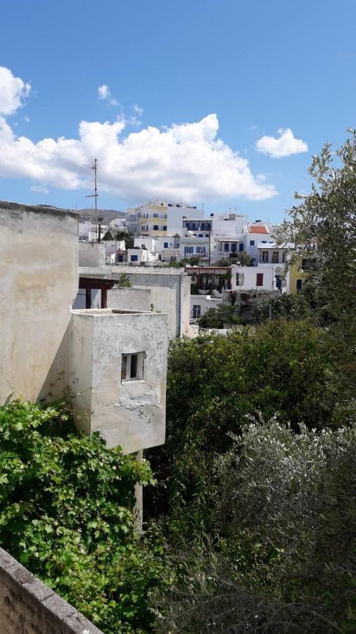 Enalion-Tinos Bed and Breakfast Eksteriør billede
